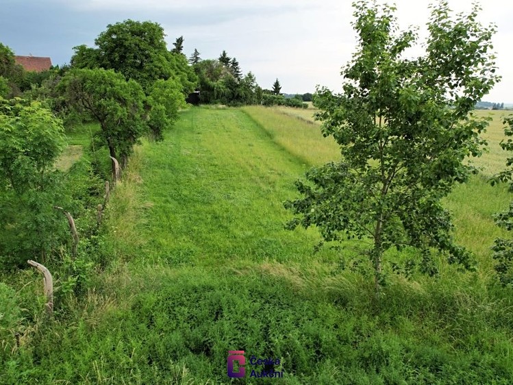 Prodej  stavebního pozemku 1 305 m² - foto 3