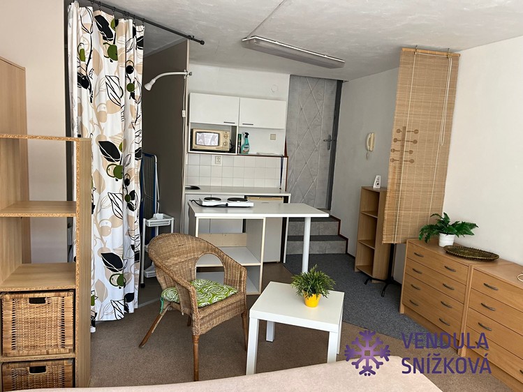 Prodej obchodního prostoru 60 m² - foto 6