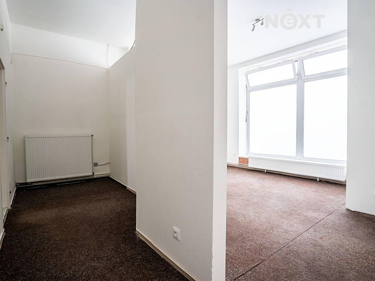 Prodej obchodního prostoru 118 m² - foto 7