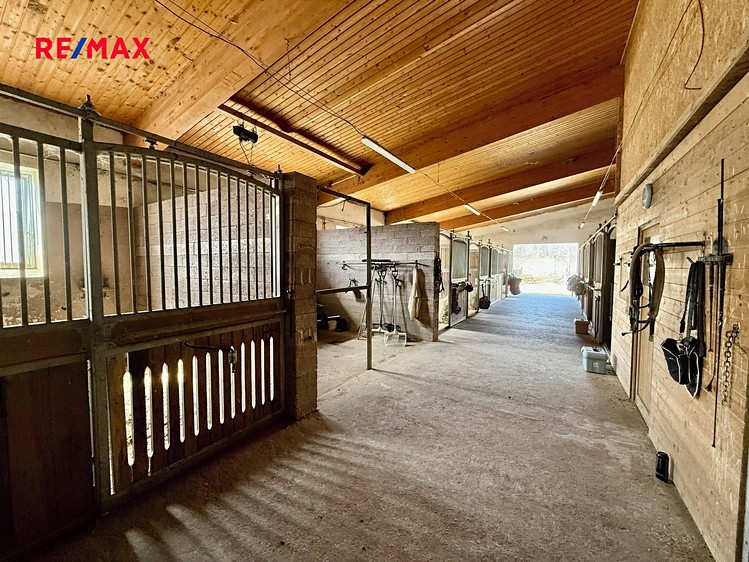 Prodej zemědělského objektu 164 000 m² - foto 7