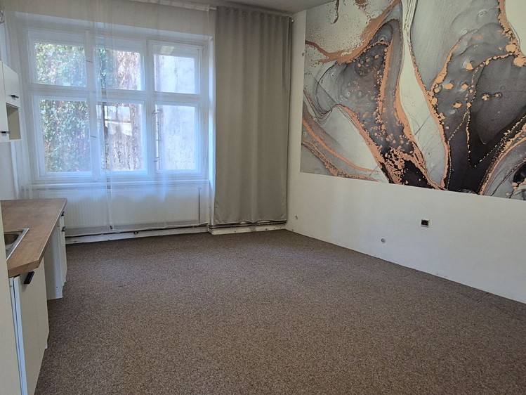 Pronájem obchodního prostoru 54 m² - foto 6