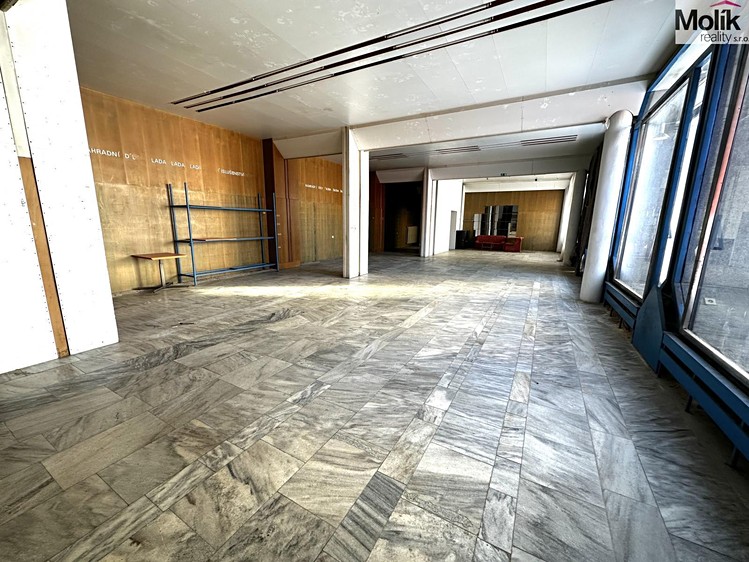 Pronájem obchodního prostoru 240 m² - foto 3