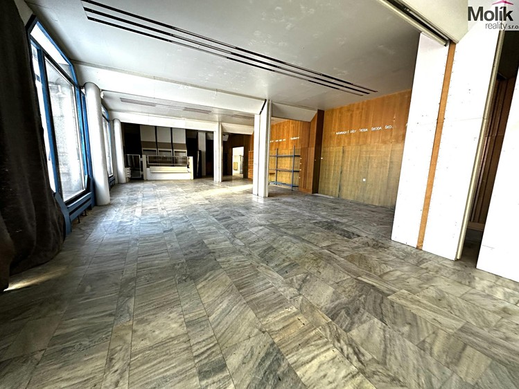 Pronájem obchodního prostoru 240 m² - foto 4