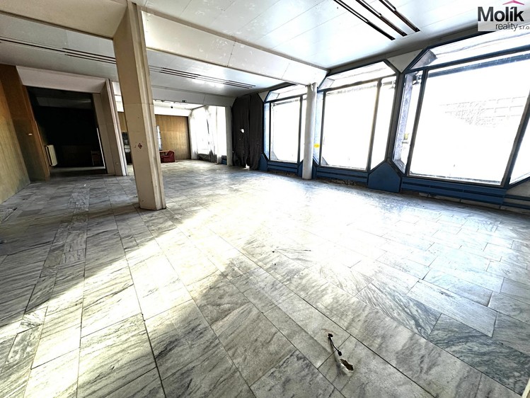 Pronájem obchodního prostoru 240 m² - foto 5