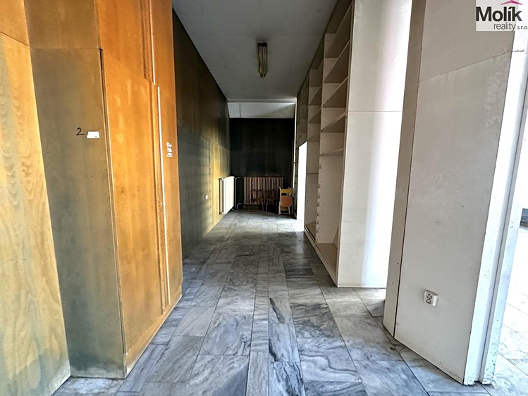 Pronájem obchodního prostoru 240 m² - foto 6