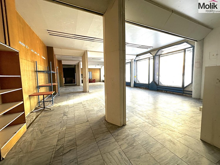 Pronájem obchodního prostoru 240 m² - foto 7