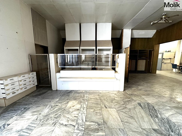Pronájem obchodního prostoru 240 m² - foto 8