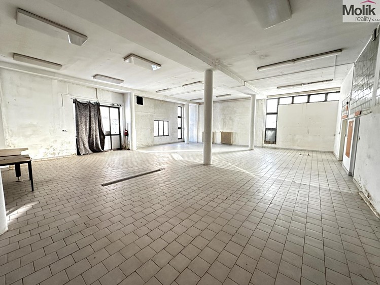 Pronájem obchodního prostoru 173 m² - foto 3