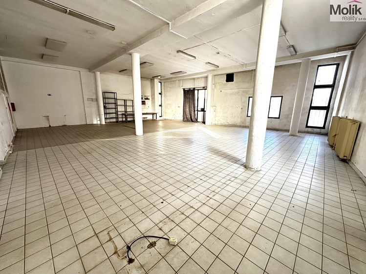 Pronájem obchodního prostoru 173 m² - foto 4