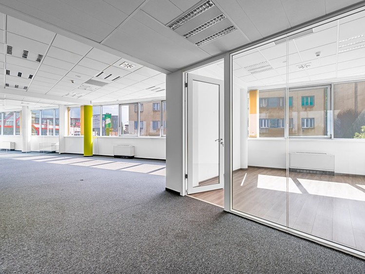 Pronájem kanceláře 974 m² - foto 5