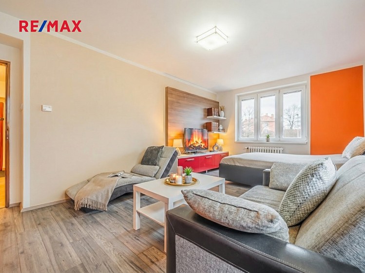 Prodej bytu 1+1 45 m² (Jednopodlažní) - foto 2