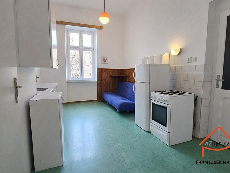 Pronájem bytu 1+1 52 m² - foto 4