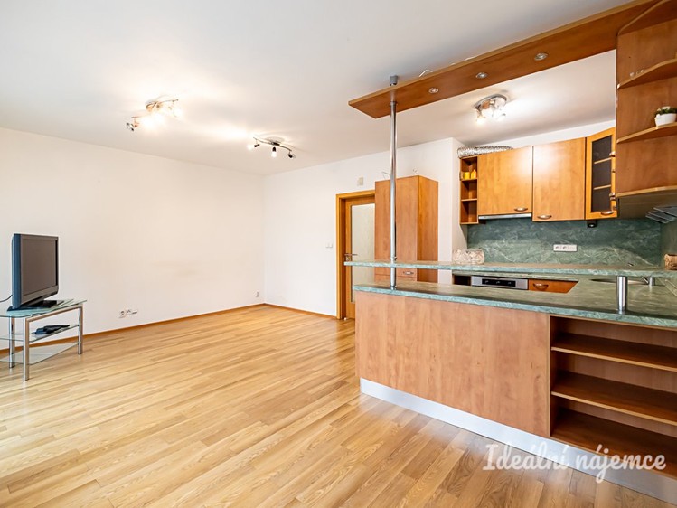 Pronájem bytu 1+kk 44 m² - foto 8