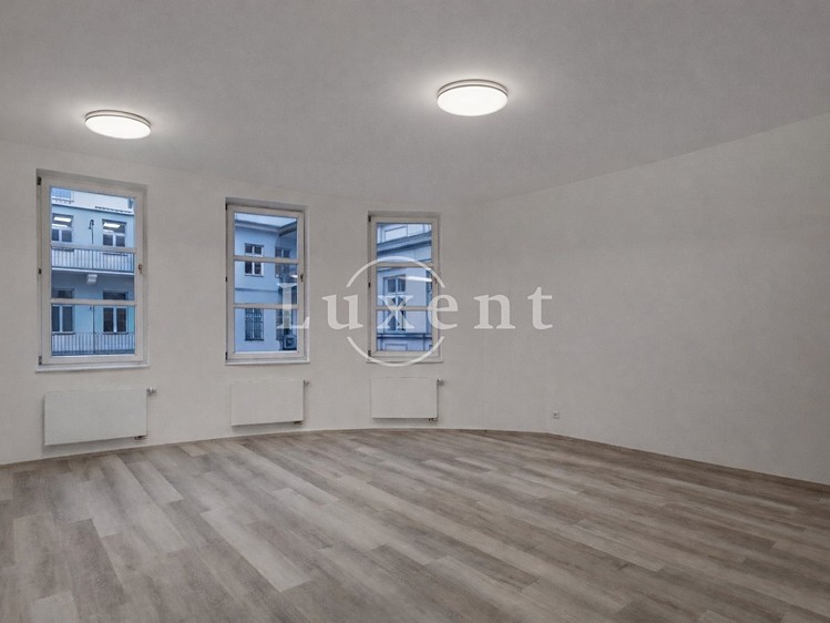 Pronájem bytu 4+kk 156 m² - foto 5