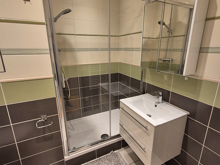 Pronájem bytu 2+kk 43 m² (Jednopodlažní) - foto 7
