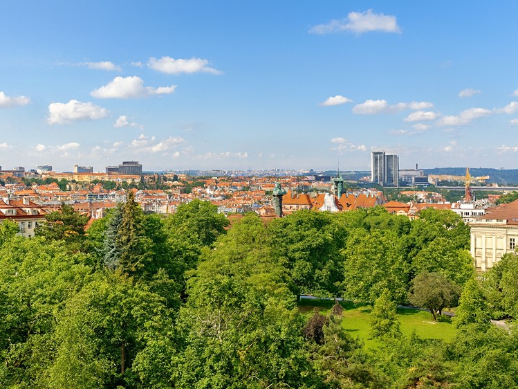 Pronájem bytu 1+kk 27 m² (Jednopodlažní) - foto 4