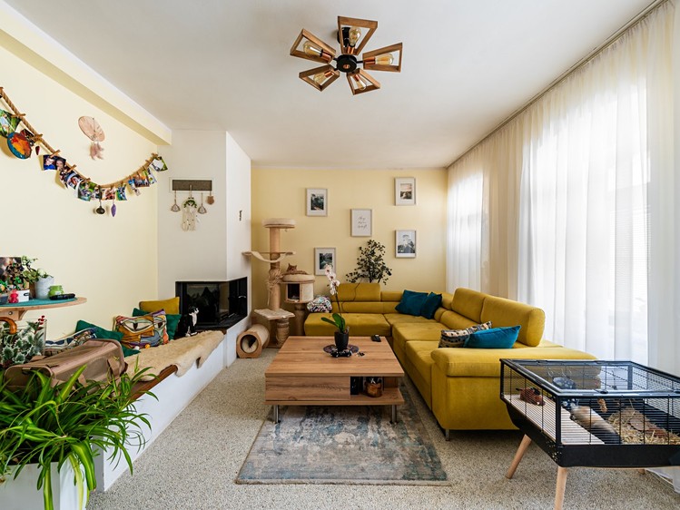 Prodej rodinného domu 220 m², pozemek 282 m² - foto 8