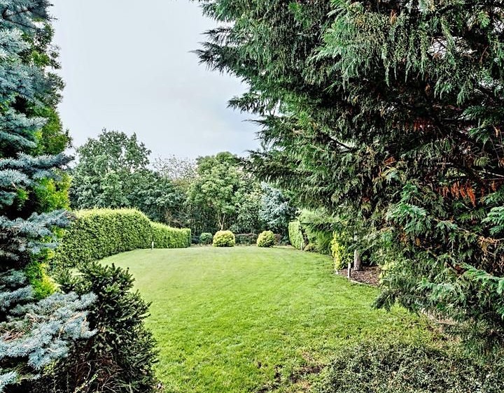 Pronájem rodinného domu 260 m², pozemek 1 000 m² - foto 4