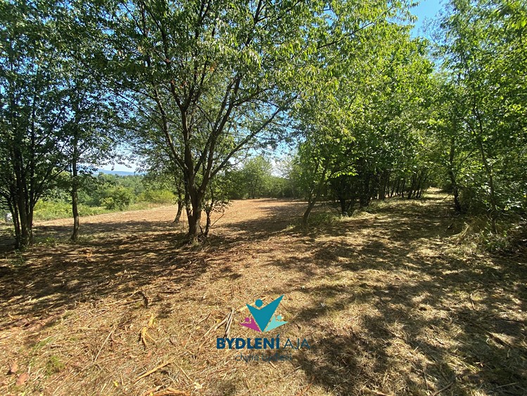 Prodej stavebního pozemku 1 674 m² - foto 1