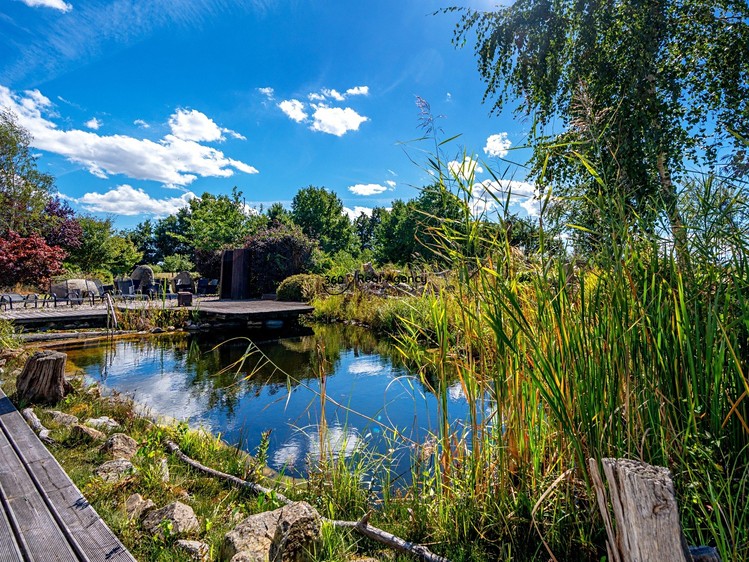 Prodej ubytovacího zařízení 1 420 m² - foto 4