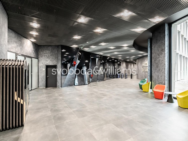 Pronájem kanceláře 188 m² - foto 5