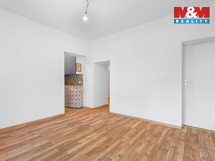 Prodej specifického typu nemovitosti 39 m² - foto 2