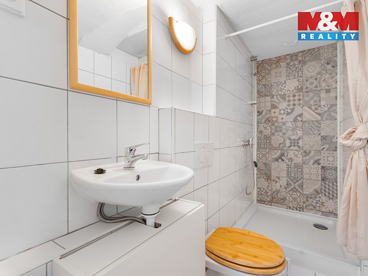 Prodej specifického typu nemovitosti 39 m² - foto 5