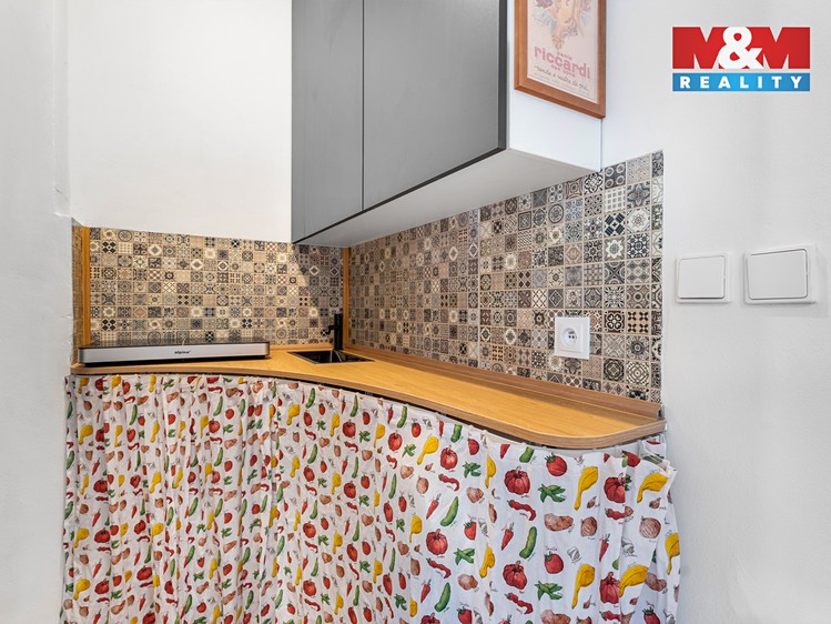 Prodej specifického typu nemovitosti 39 m² - foto 8
