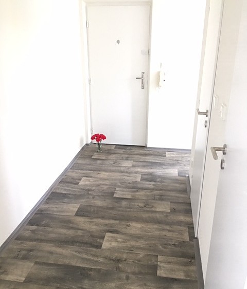 Pronájem bytu 2+1 50 m² (Jednopodlažní) - foto 3