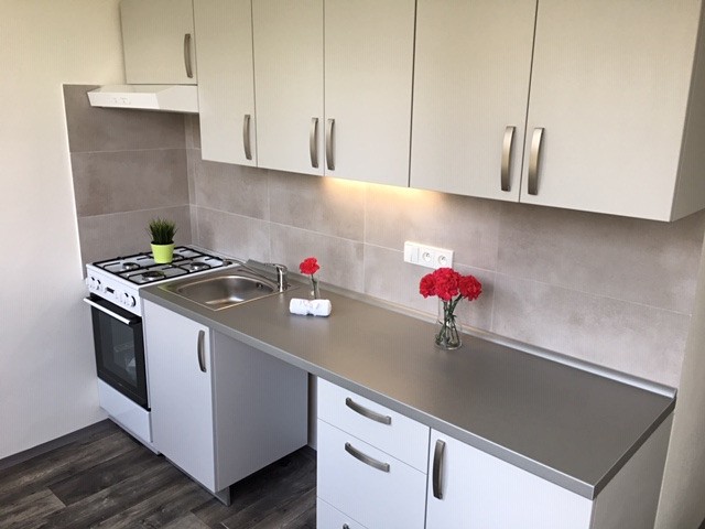 Pronájem bytu 2+1 50 m² (Jednopodlažní) - foto 2