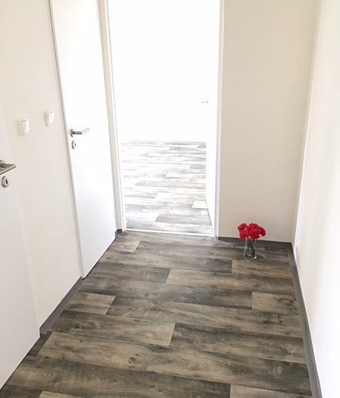 Pronájem bytu 2+1 50 m² (Jednopodlažní) - foto 4