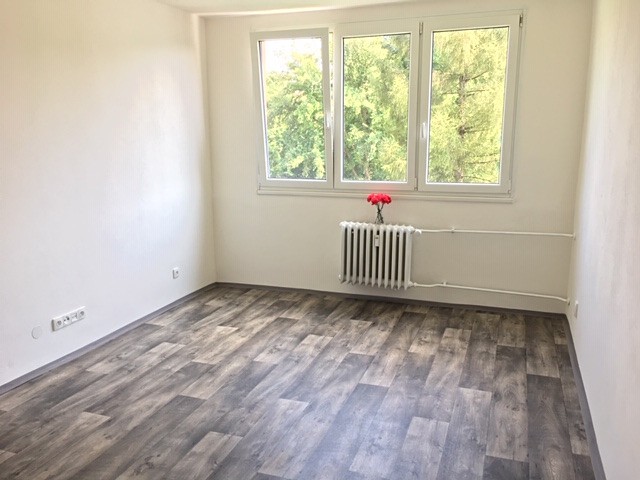Pronájem bytu 2+1 50 m² (Jednopodlažní) - foto 5