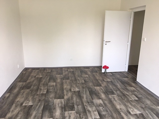 Pronájem bytu 2+1 50 m² (Jednopodlažní) - foto 7