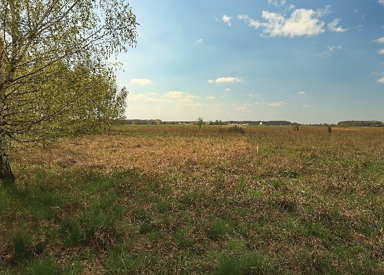 Prodej  rodinného domu 139 m², pozemek 840 m² - foto 3