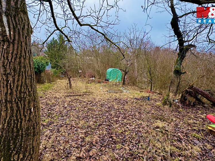 Pronájem  zahrady 350 m² - foto 4