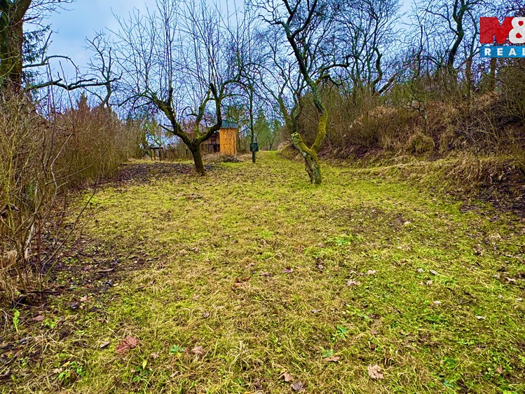 Pronájem  zahrady 350 m² - foto 5