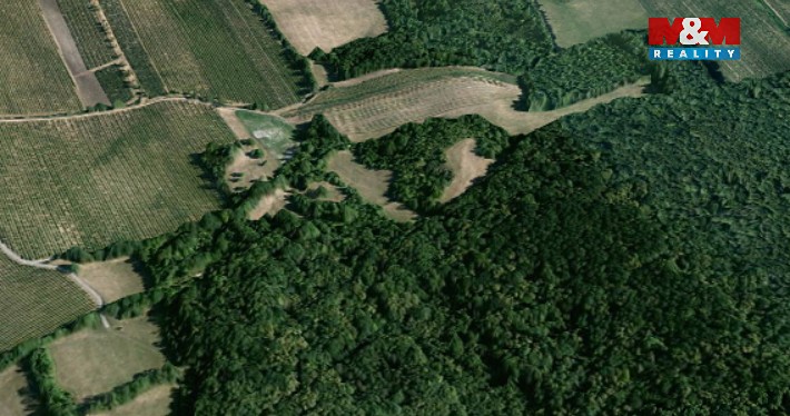 Pronájem  pole 4 000 m² - foto 4