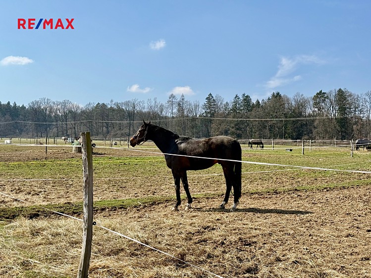 Prodej zemědělského objektu 1 300 m² - foto 4