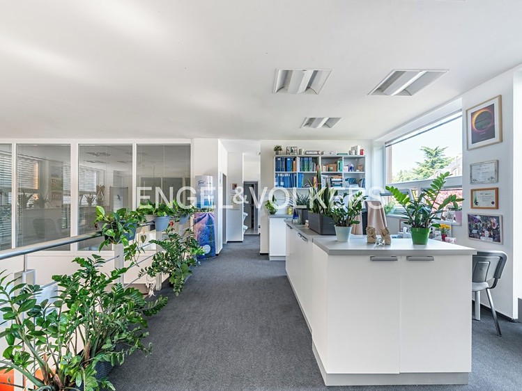 Pronájem kanceláře 226 m² - foto 3