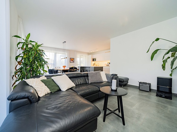 Prodej rodinného domu 170 m², pozemek 1 050 m² - foto 4