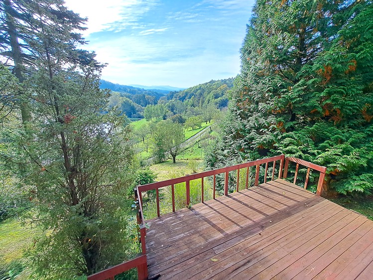 Prodej chaty 52 m², pozemek 950 m² - foto 1