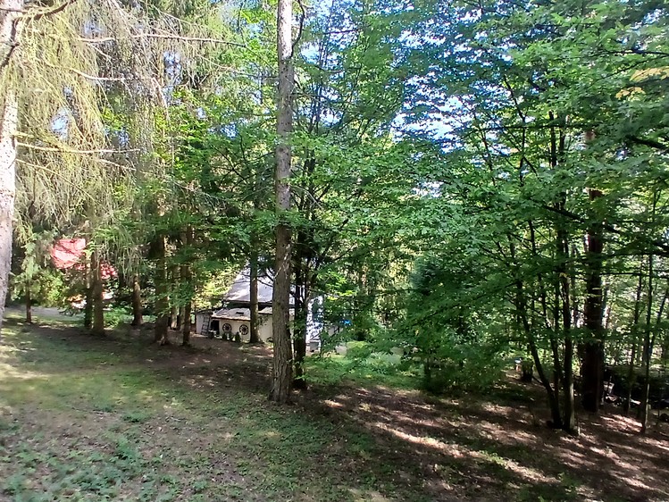 Prodej chaty 32 m², pozemek 1 244 m² - foto 8