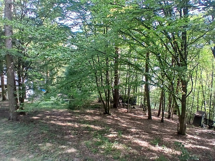 Prodej chaty 32 m², pozemek 1 244 m² - foto 7
