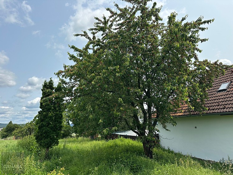 Prodej  rodinného domu 132 m², pozemek 1 000 m² - foto 3