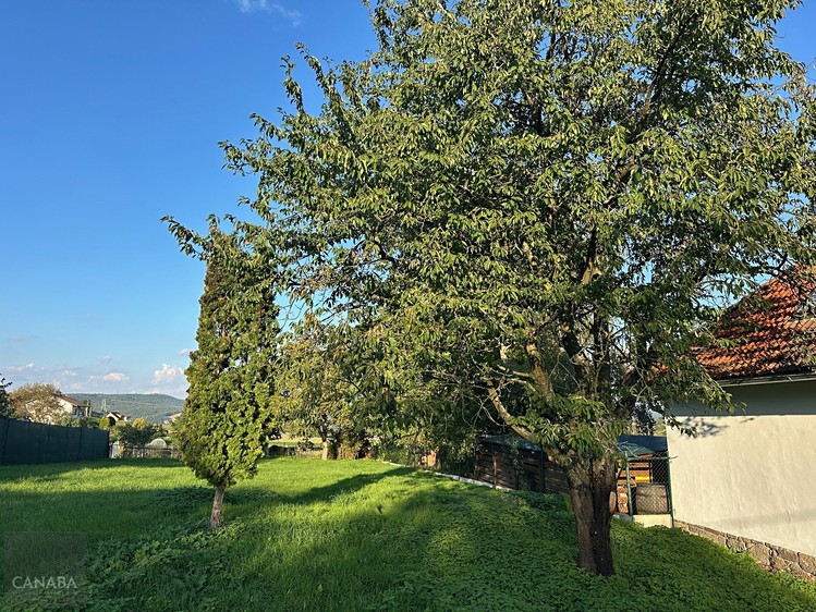 Prodej  rodinného domu 132 m², pozemek 1 000 m² - foto 5