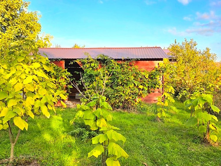 Prodej rodinného domu 158 m², pozemek 2 055 m² - foto 8