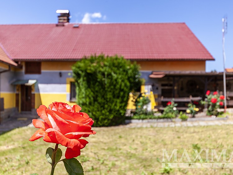 Prodej rodinného domu 150 m², pozemek 597 m² - foto 4