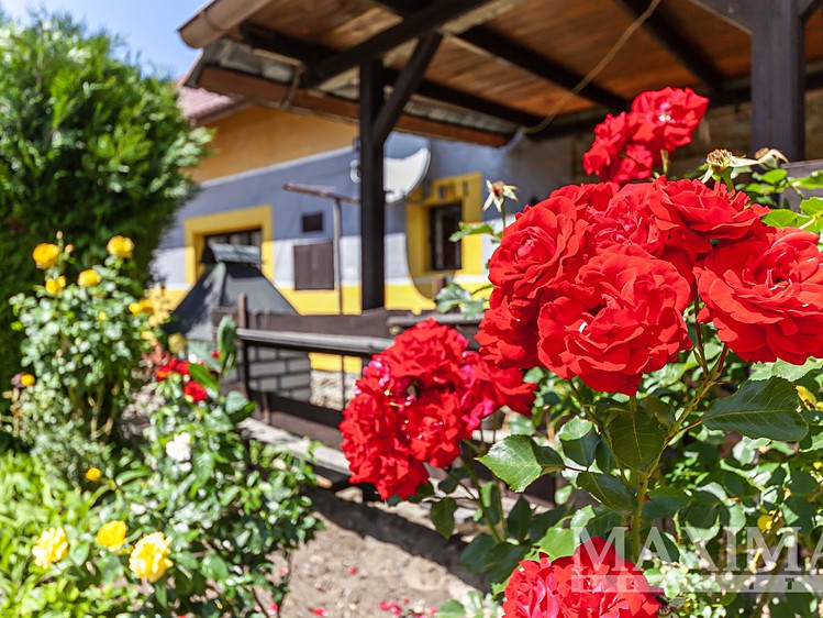 Prodej rodinného domu 150 m², pozemek 597 m² - foto 5