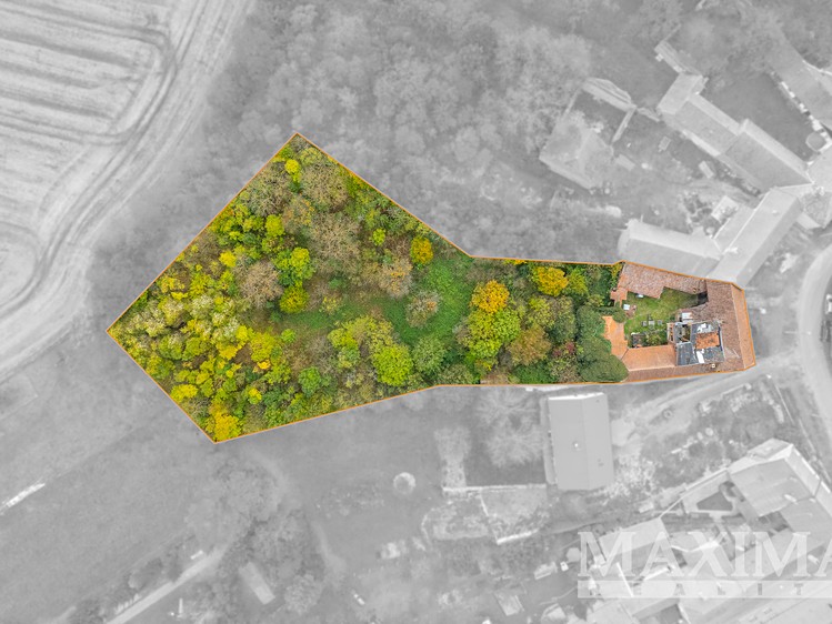 Prodej rodinného domu 100 m², pozemek 4 135 m² - foto 3