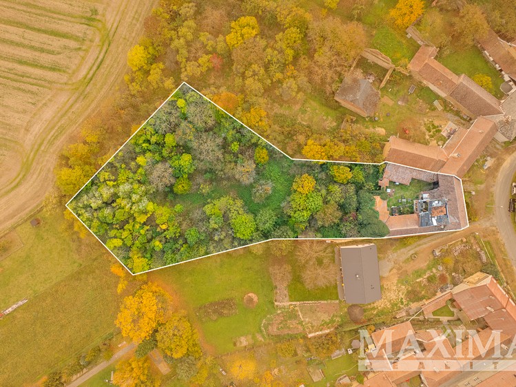 Prodej rodinného domu 100 m², pozemek 4 135 m² - foto 4